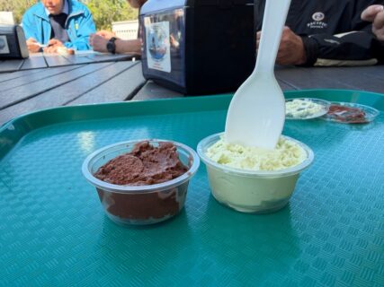 Guests enjoying homemade ice cream in Key Lime and Chocolate and a warm donut at Guyer’s as the final stop on a Crystal River food tour