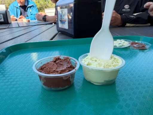 Guests enjoying homemade ice cream in Key Lime and Chocolate and a warm donut at Guyer’s as the final stop on a Crystal River food tour